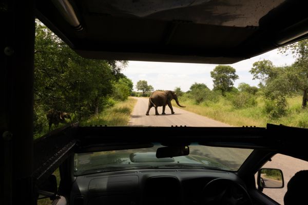 Transfer / Travel in Greater Kruger