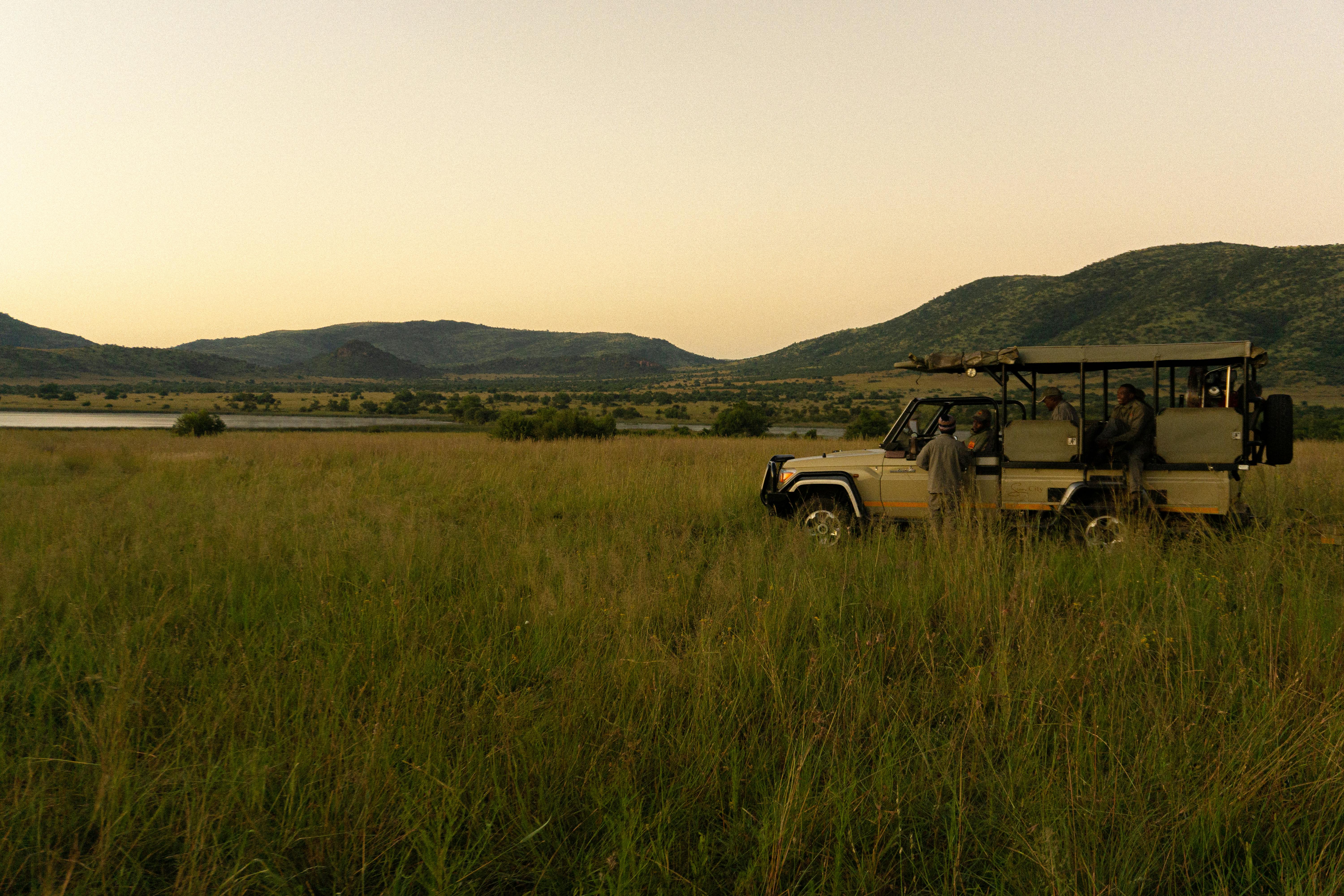 A safari jeep with people observing wildlife at dusk in Pilanesberg National Park, South Africa.