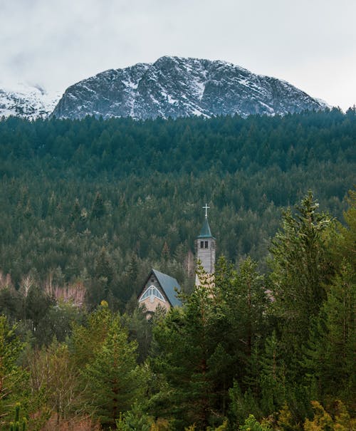 Church Building in Forest