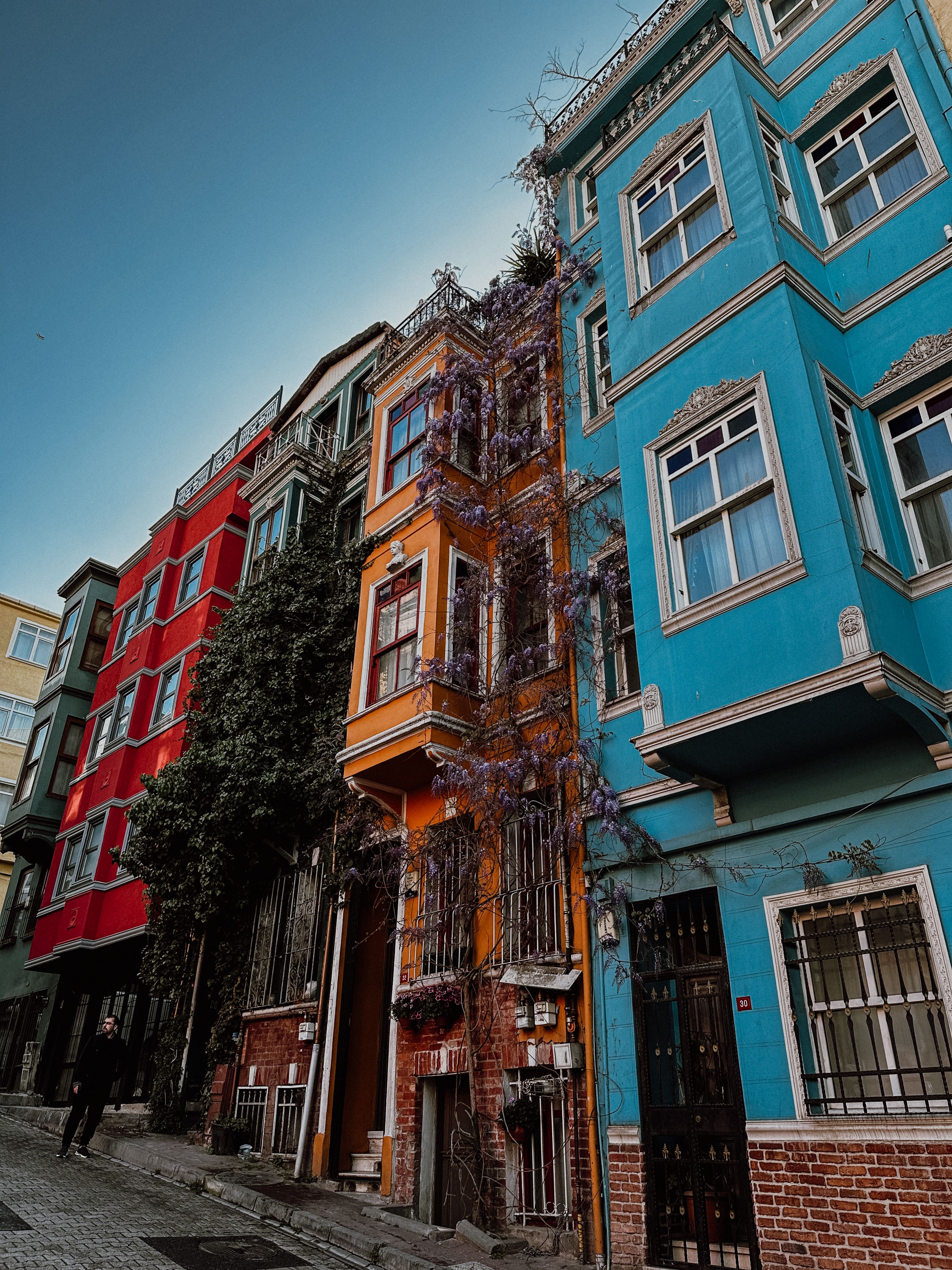 Fotomural Casas vibrantes en una ciudad adornada con hiedra bajo un cielo claro.