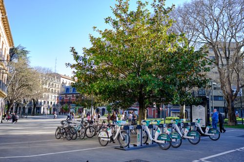 Free Lively town square with rental bicycles and a central green tree during the day. Stock Photo