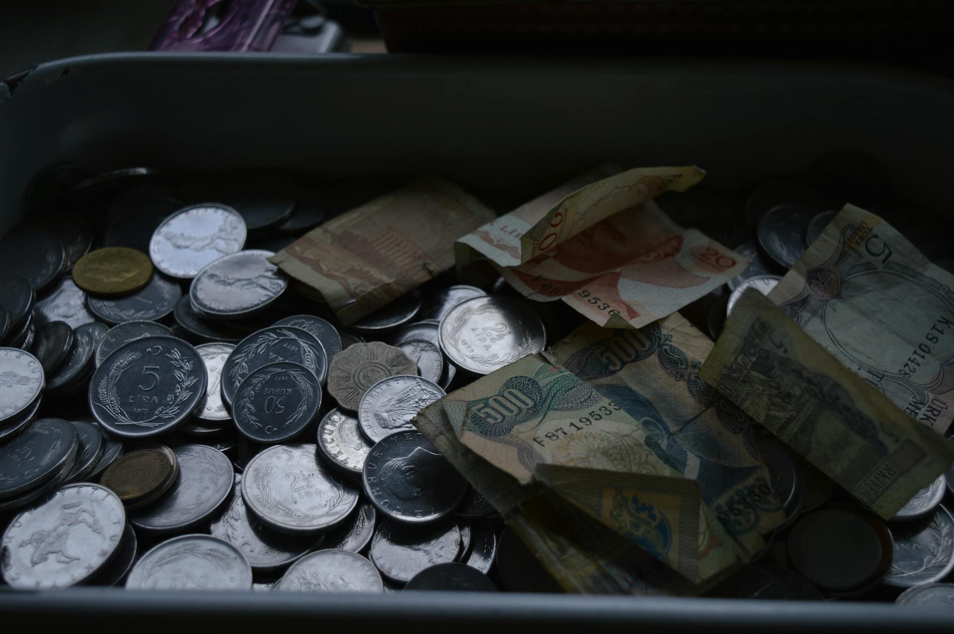 A collection of various coins and banknotes displayed in a tray, showcasing global currency.