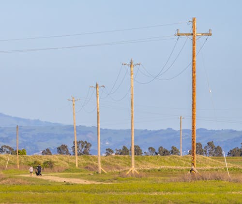 Fotos de stock gratuitas de camino de tierra, cielo limpio, líneas eléctricas