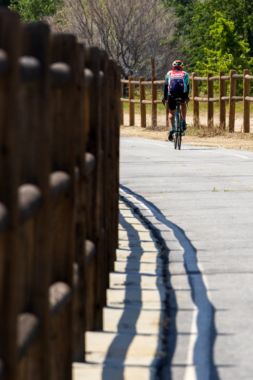 Free Back view of a cyclist riding on a sunny road lined with wooden fences. Stock Photo