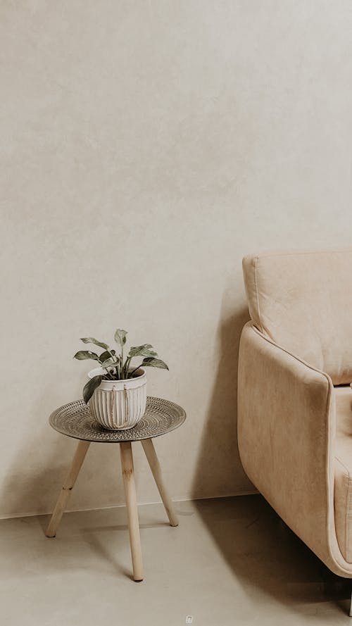 A Potted Plant Standing on a Small Table next to a Sofa in a Modern Room