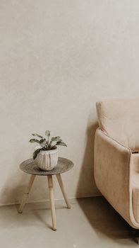 Elegant minimalist living room with beige sofa and potted plant in Kozhikode, India.