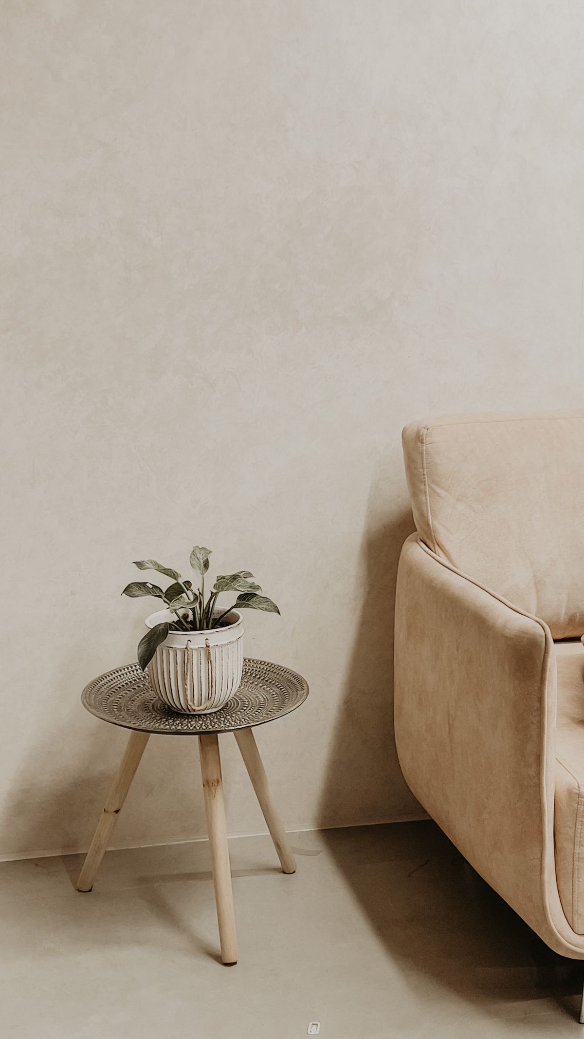 Calm beige interior corner with an armchair and a small potted plant