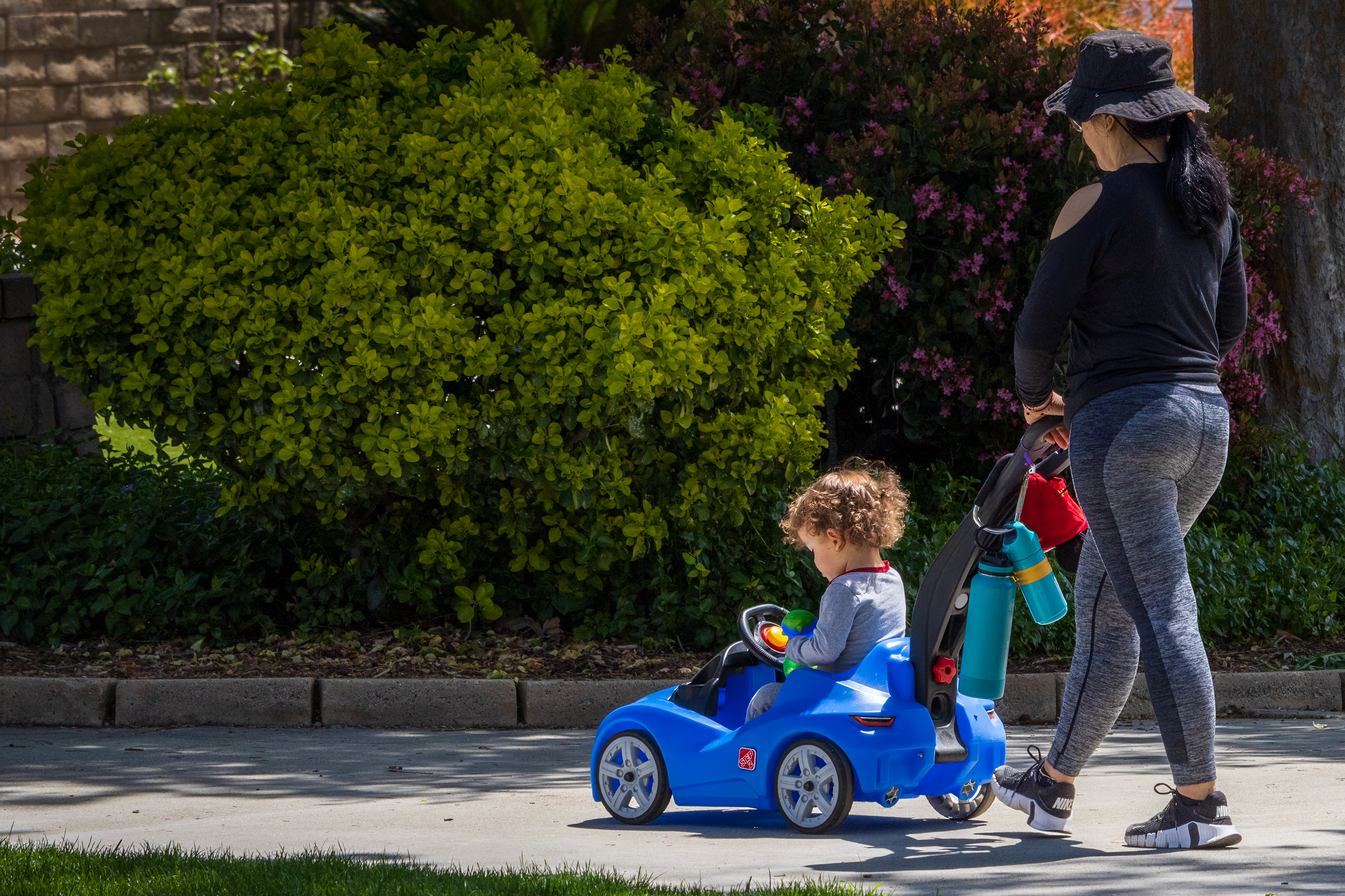 Rental Cars Pushed Q3 Fleet Sales Growth — Photo by David Brown on Pexels