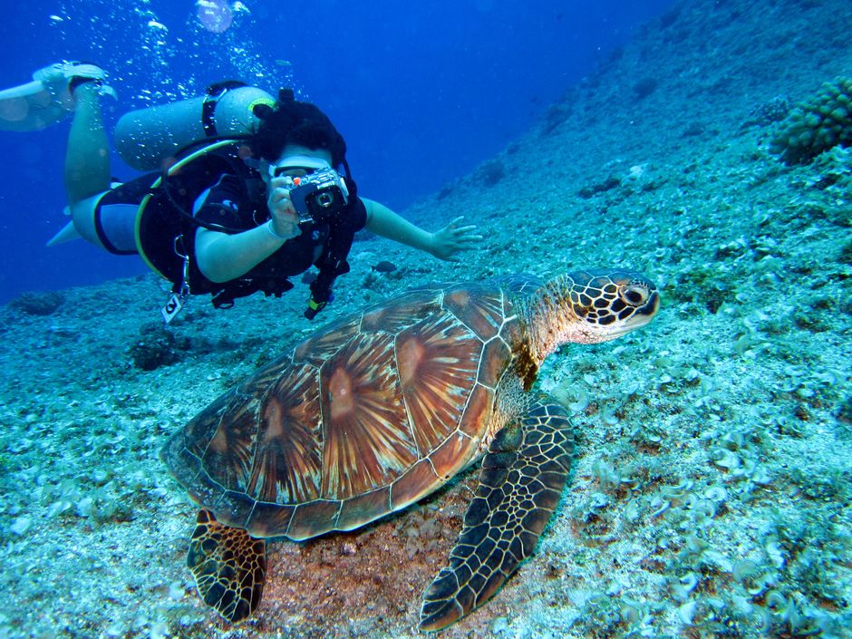 Les meilleurs spots de snorkeling sur la Côte Amalfitaine — photo 1