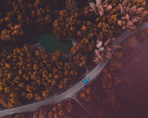 Bird's Eye View Photography Of Blue Car