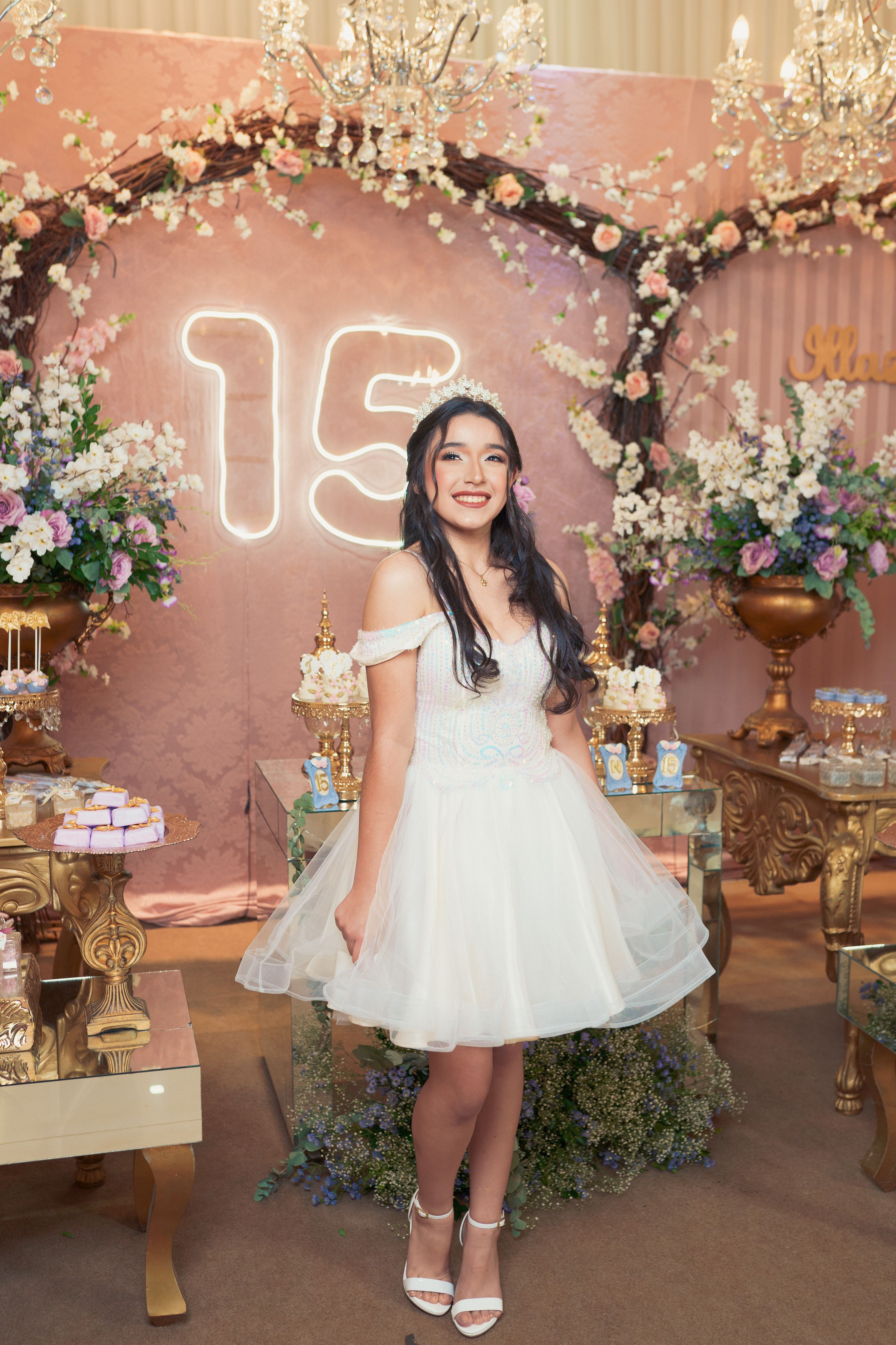 A Quinceaera Posing at her Birthday Party  Free Stock Photo