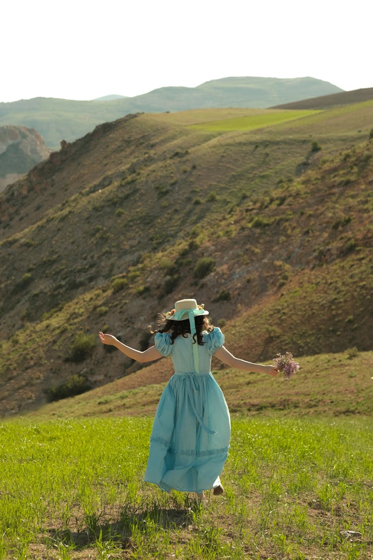 Back View Of A Woman In A Blue Dress 