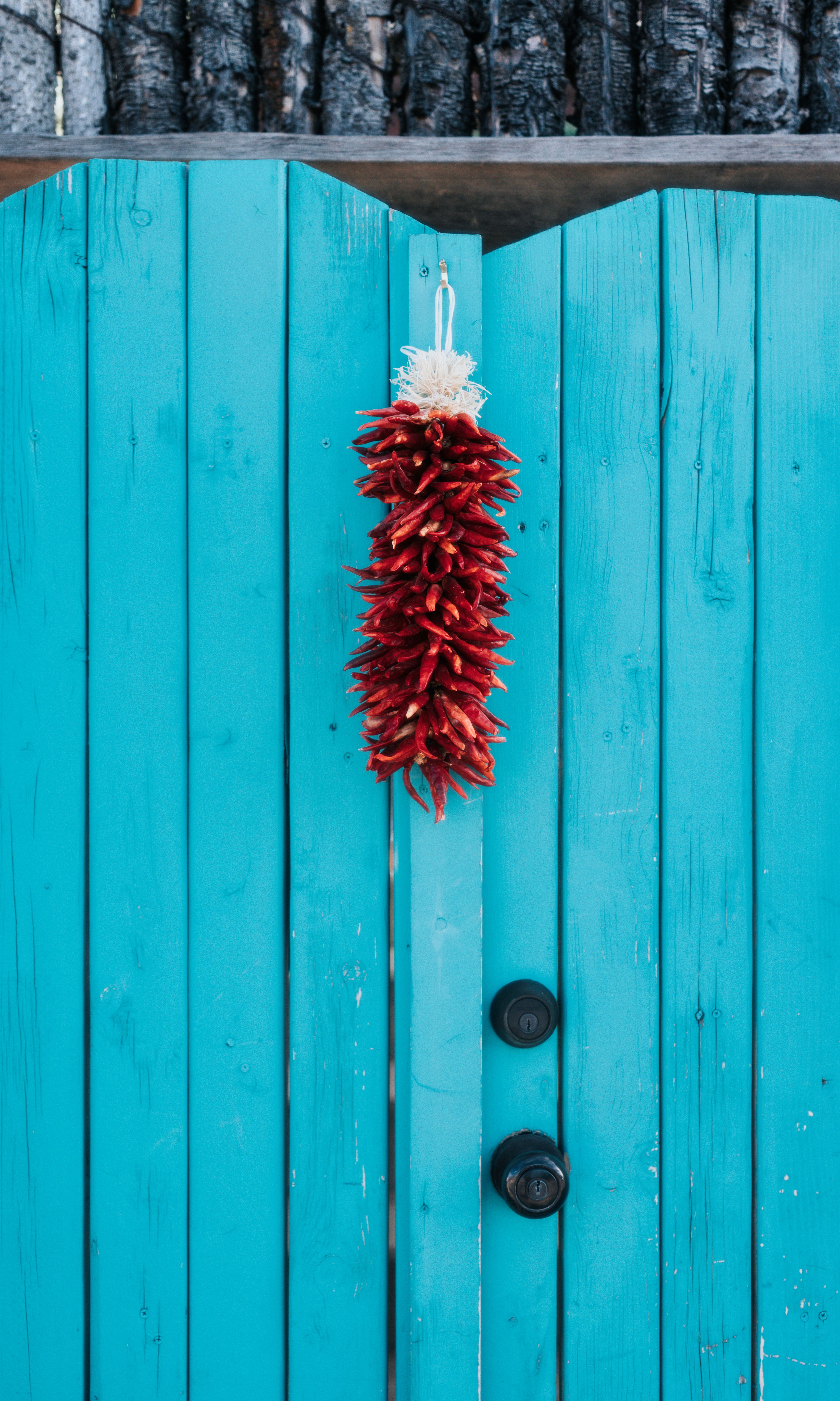 A Chile Ristra Hanging on a Blue Fence · Free Stock Photo