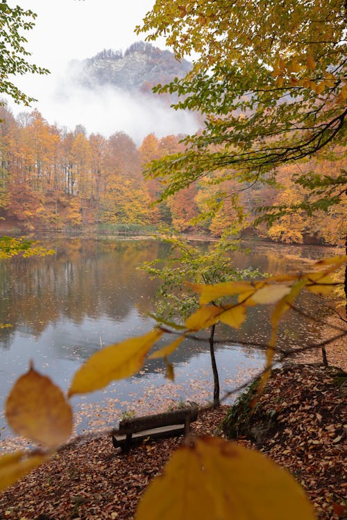 Fotobanka s bezplatnými fotkami na tému hmla, hora, idylický