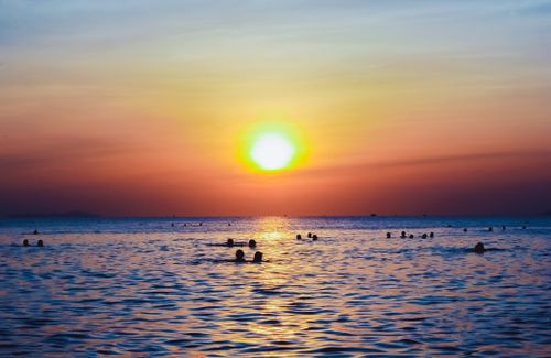 Free Silhouettes of people swimming in the ocean against a colorful sunset sky. Stock Photo