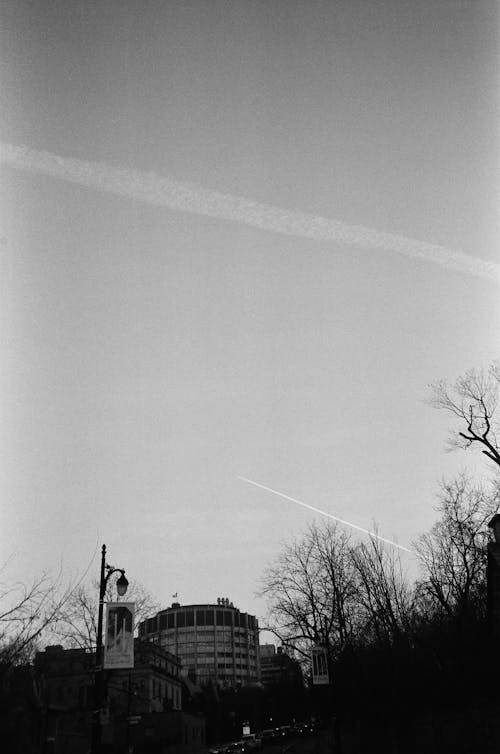 Kostenloses Stock Foto zu bäume, klarer himmel, schwarz und weiß