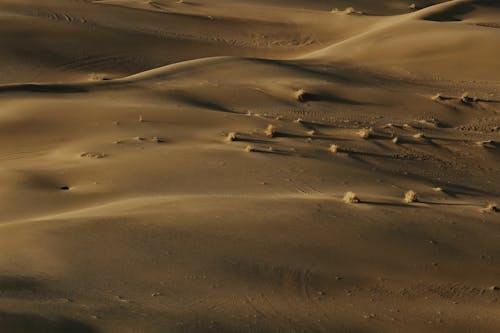 Barren, Sunlit Desert