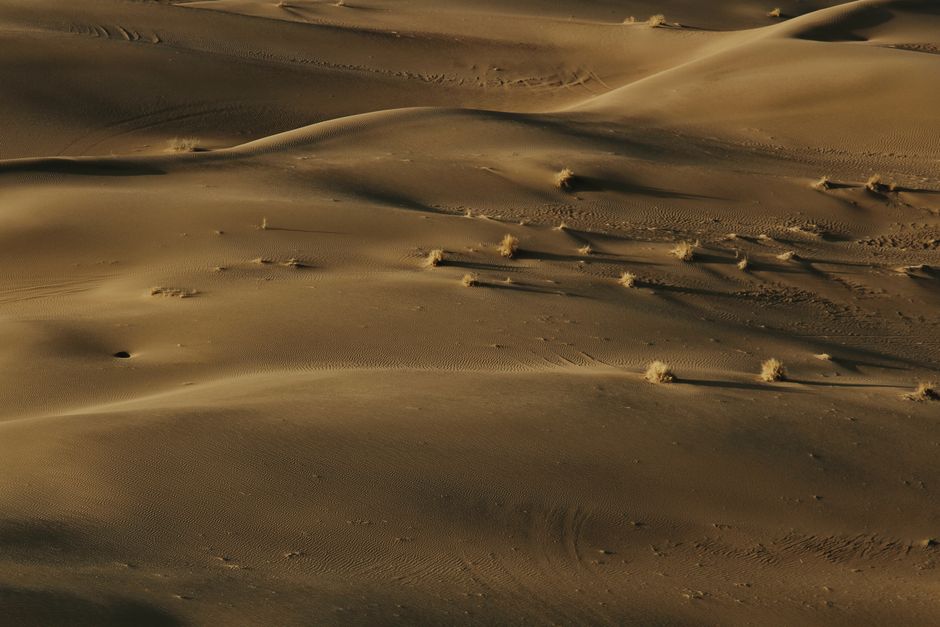 Sunlit sand dunes in Kashan, capturing the serene beauty of Iran's desert landscape.
