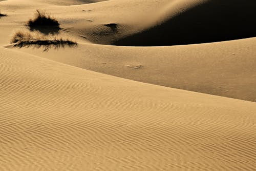 Základová fotografie zdarma na téma neúrodná, písek, poušť