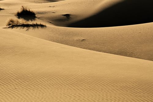 Free Stunning view of the golden desert sand dunes at Kashan, Iran showcasing nature's beauty. Stock Photo