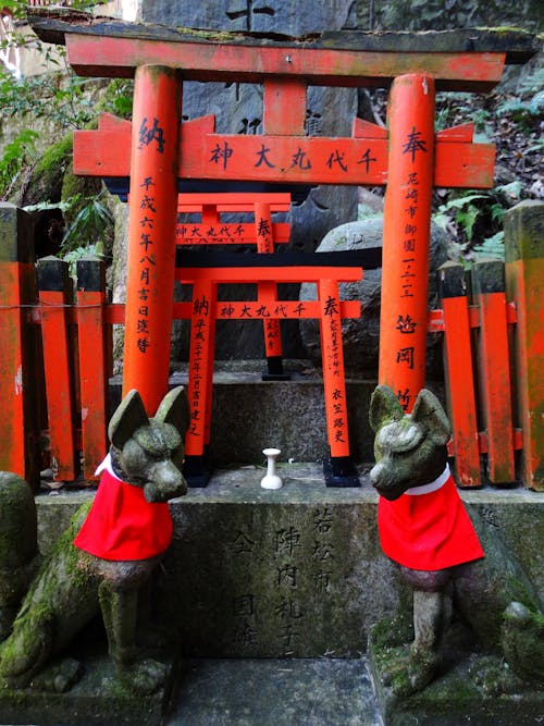 Statues of Dogs under Red Torii Gate in Mountains
