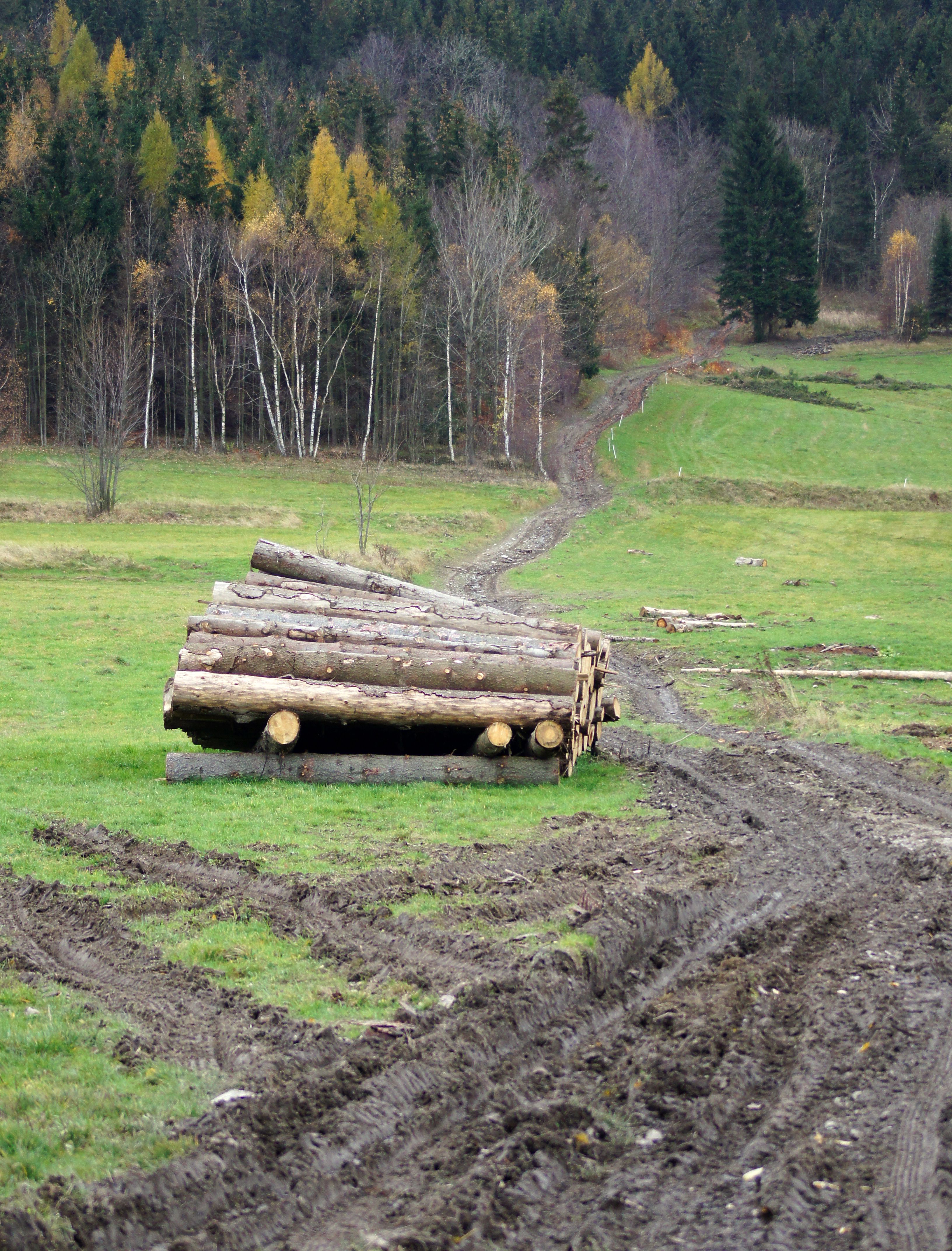 A log is sitting in the middle of a muddy field · Free Stock Photo