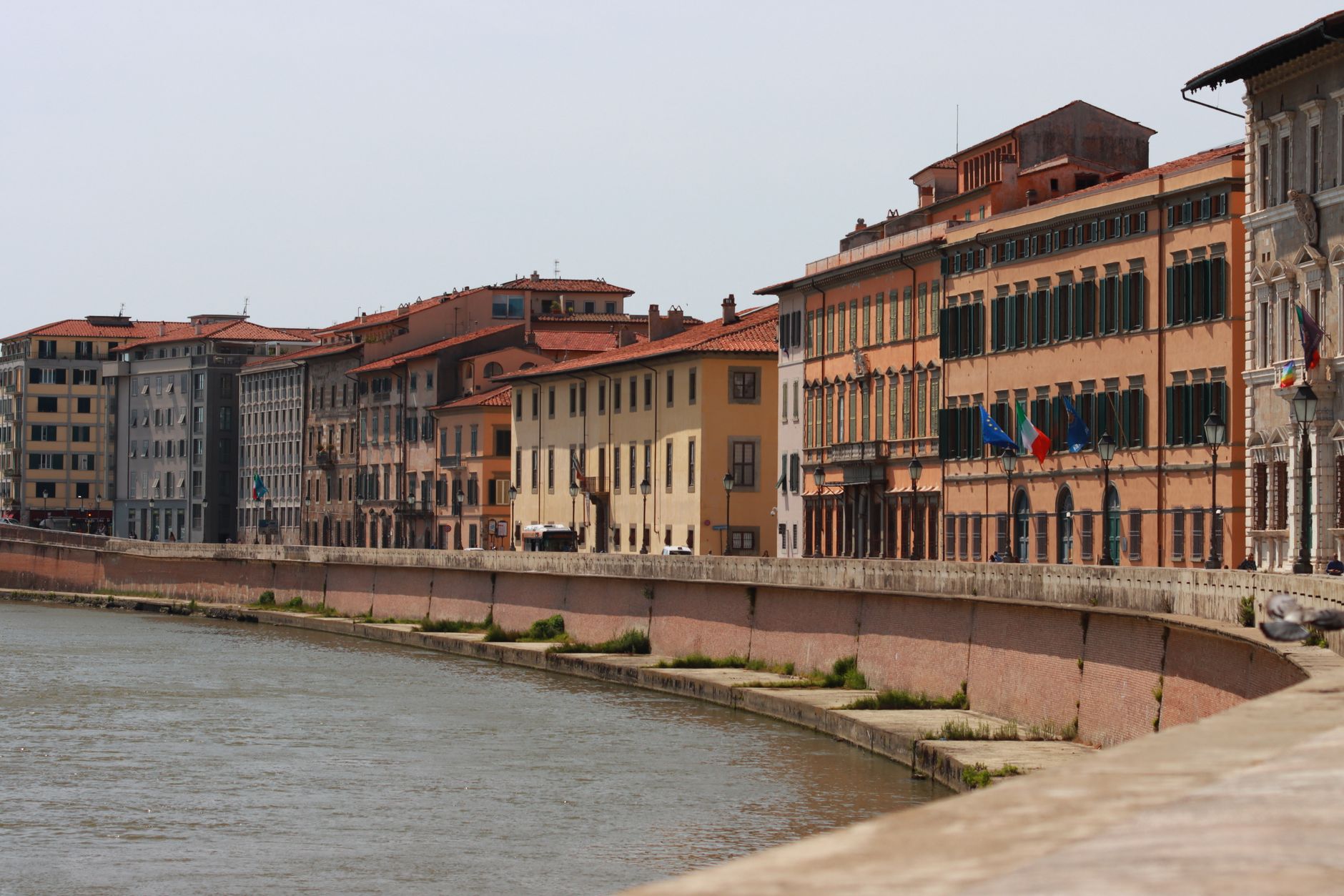 Rental Scams in Pisa: 5 Fake Listings That Trap Erasmus Students