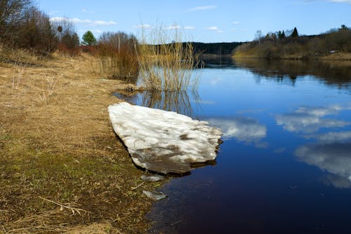 Melting Snow on Lakeshore