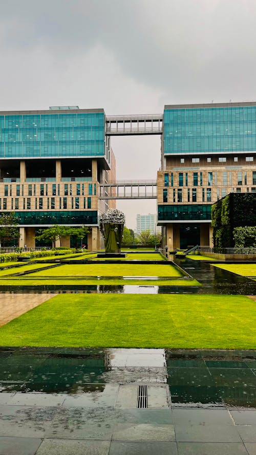 Foto profissional grátis de arquiteto, atraente, campo de grama