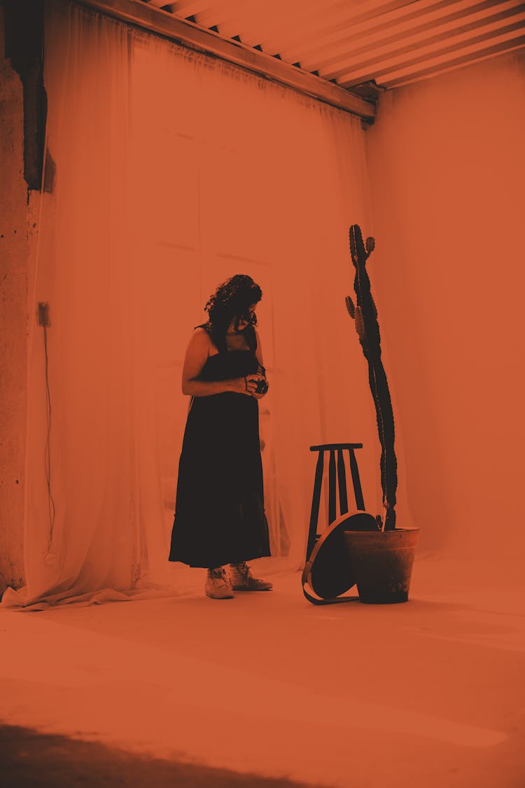 Woman In Dress Looking At Plant In Bucket