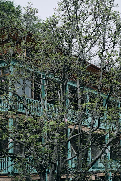 Darmowe zdjęcie z galerii z balkony, budynek, drzewa