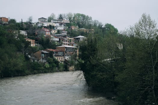 Image by ZUMRAD NORMATOVA