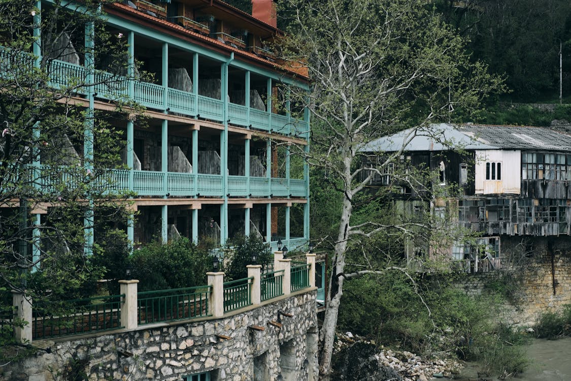 Immagine gratuita di albero, architettura, facciata di edificio