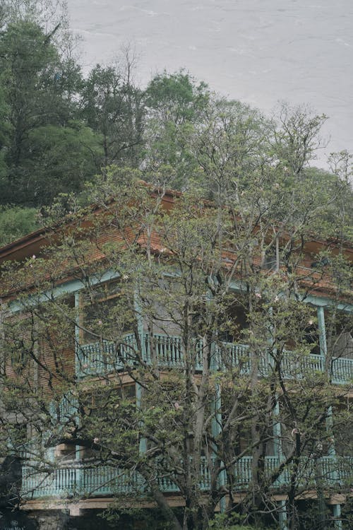View of a Building with Balconies among Green Trees 