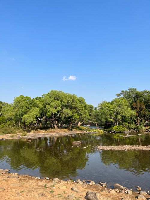 Free Peaceful lake scene with clear sky and vibrant green trees reflecting sunlight, ideal for nature lovers. Stock Photo
