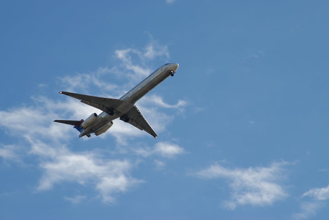 무료 낮 동안 흰색과 푸른 하늘 아래 흰색과 파란색 비행기 스톡 사진