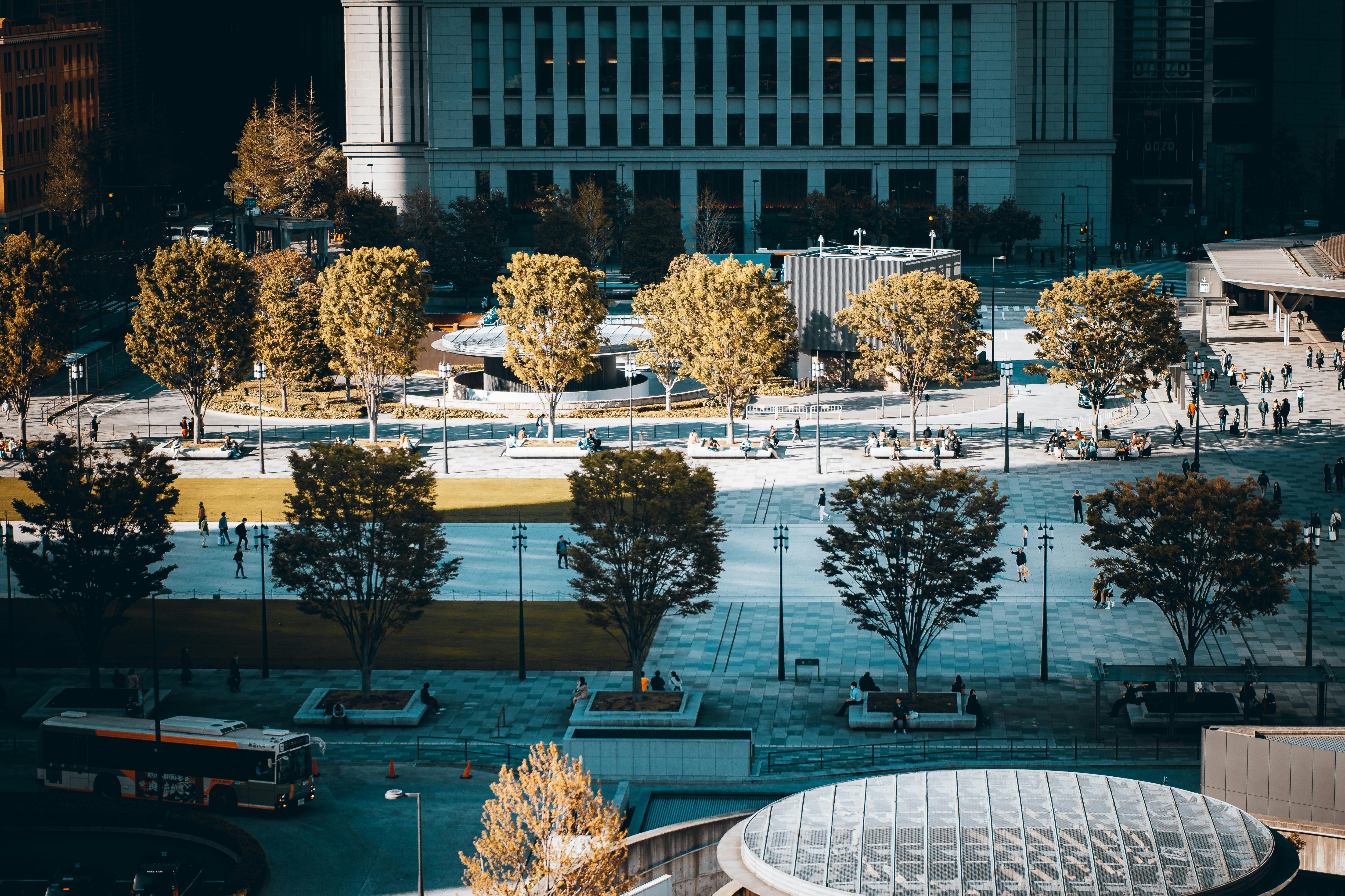 civic life examples civic lifespan — Photo by Szymon Shields on Pexels