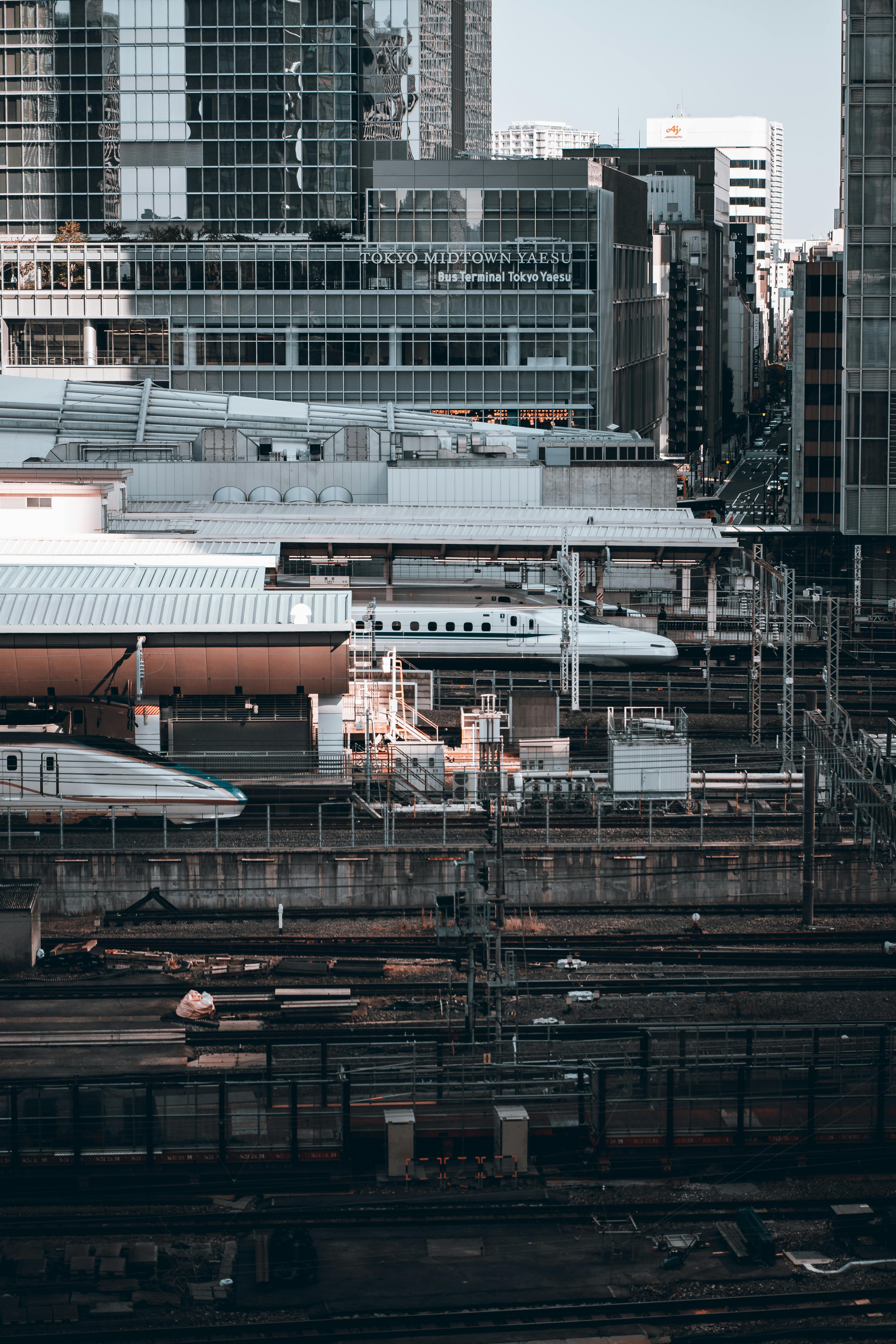 pexels-photo-16456835.jpeg