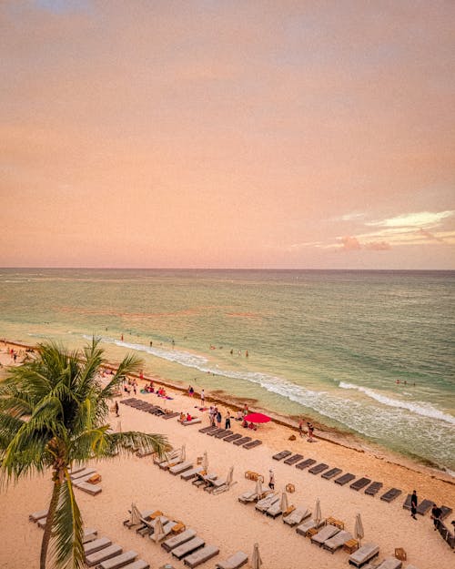 Aerial View of a Beach with Sun Loungers and the Seascape under a Pink Sky 