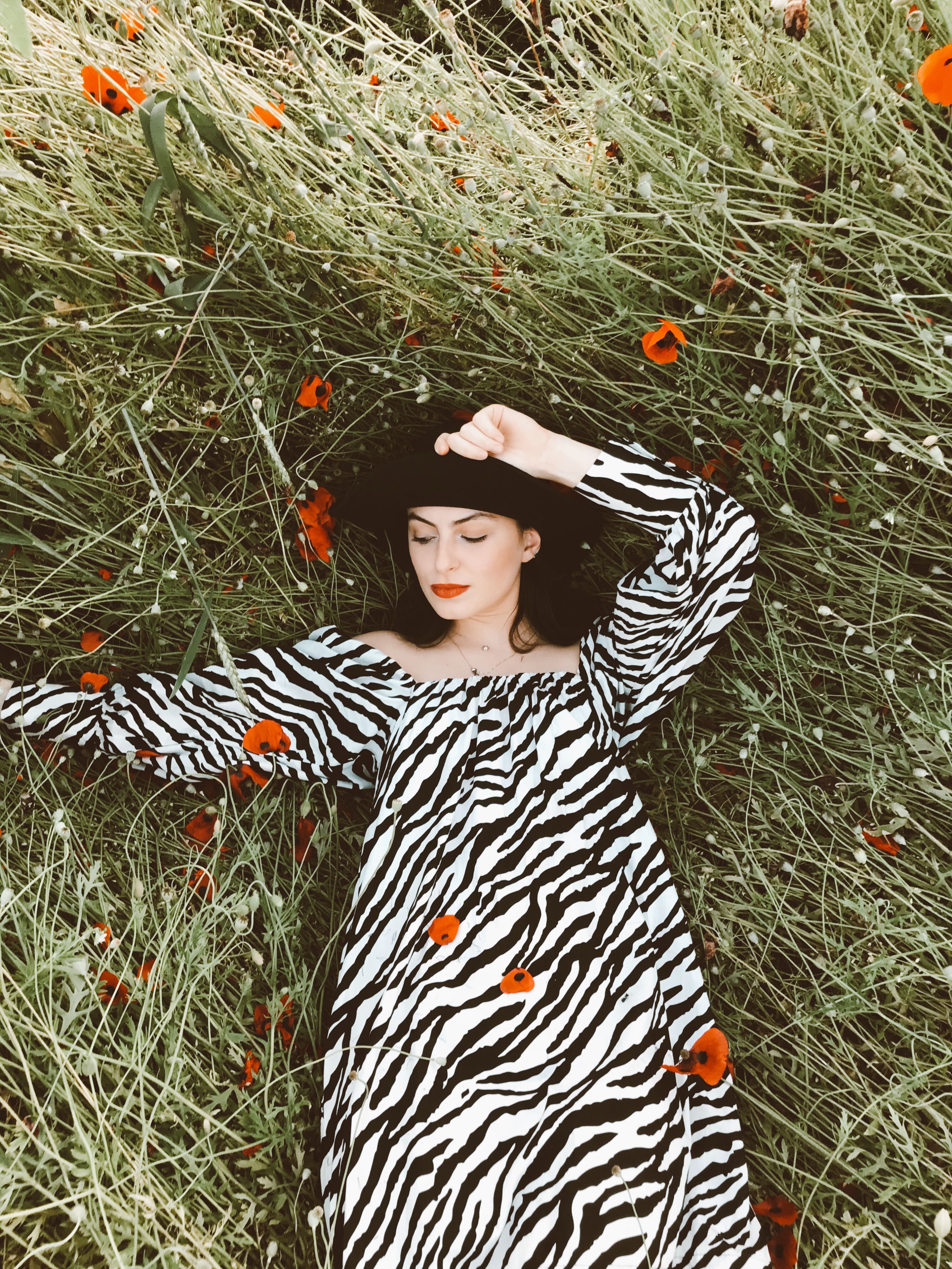 Woman in a Dress and Hat Posing on a Poppy Field · Free Stock Photo