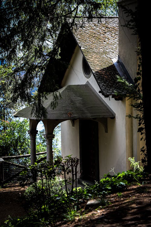 Foto profissional grátis de árvore, casa, casas