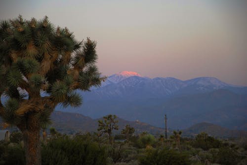 Gratis lagerfoto af bjerg, san gorgonio bjerget, solopgang