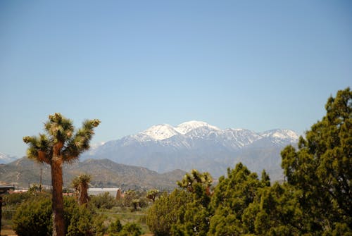 Gratis lagerfoto af bjerge, san gorgonio bjerget