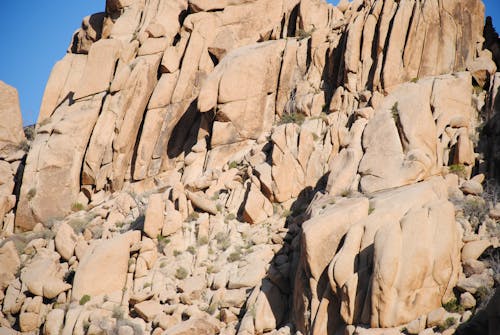 Gratis lagerfoto af joshua tree, joshua tree national park, sten