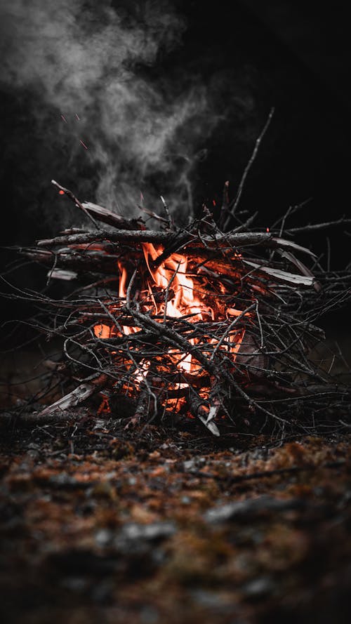 Close up of a Campfire 