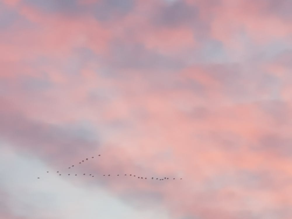 カラフルな空 カラフルな雲 パステルカラーの無料の写真素材