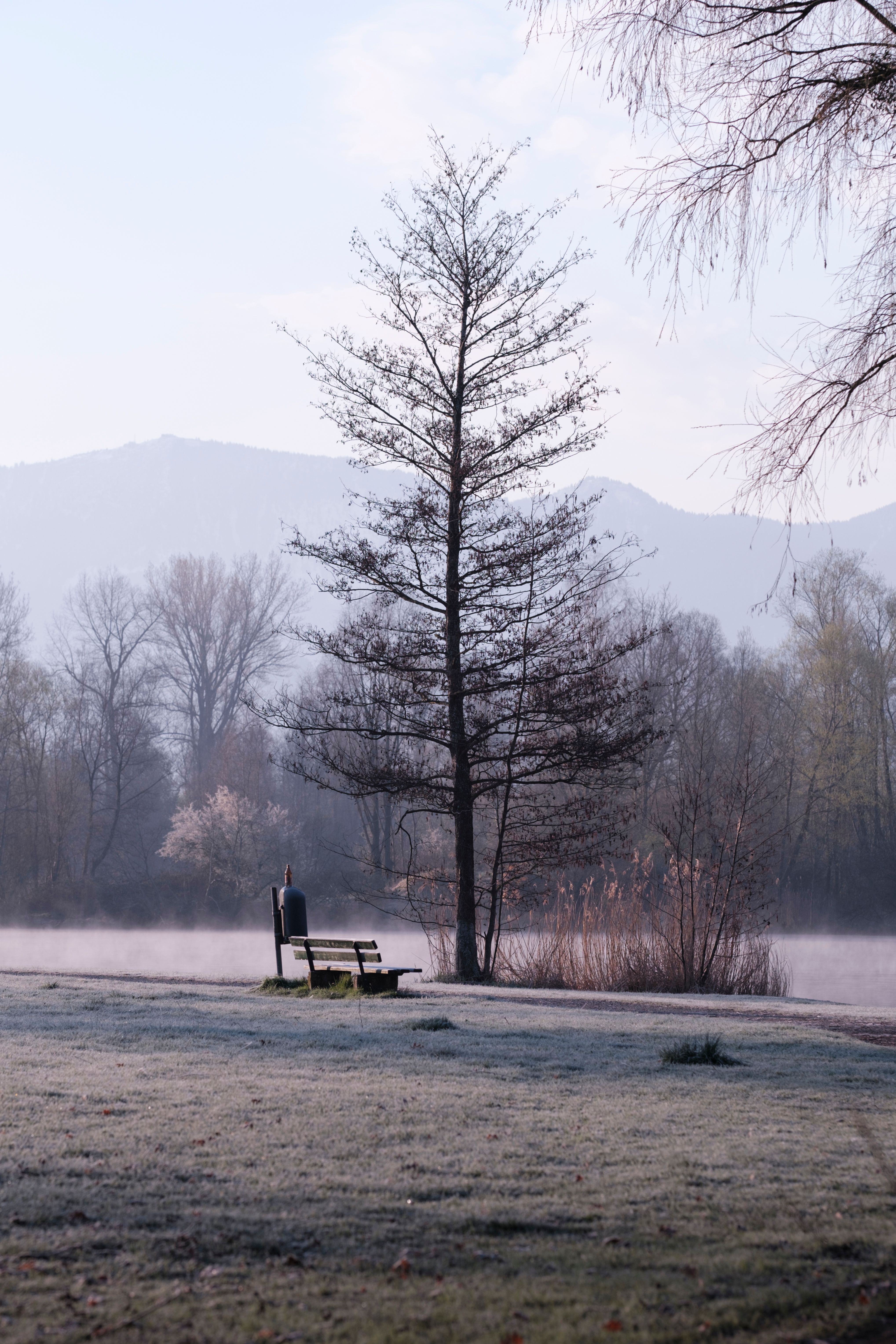 Bench in a Park in Winter · Free Stock Photo