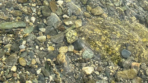 stones under clear water grey green