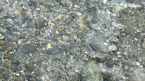 stones under clear water grey green