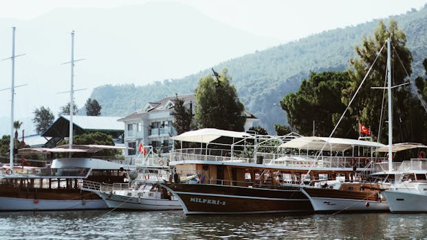 Elegant sailboats moored in a picturesque harbor with mountains in the background.